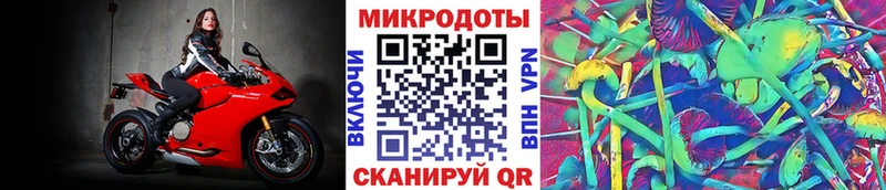 Псилоцибиновые грибы GOLDEN TEACHER  хочу   Кировск 