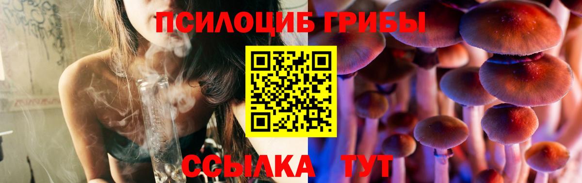 Кировск  Псилоцибиновые грибы GOLDEN TEACHER  Галлюциногенные грибы Psilocybine cubensis  Вход с VPN 